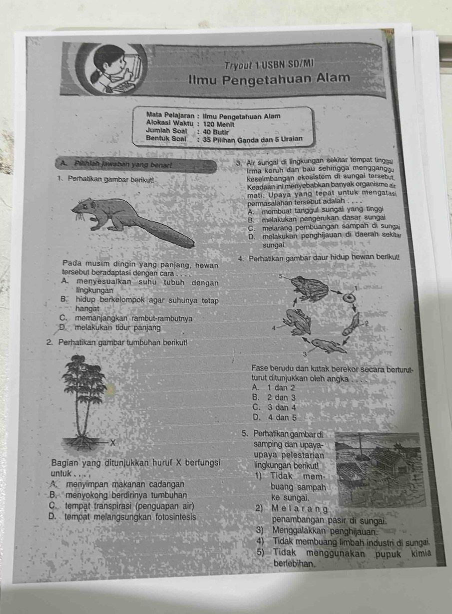 Tryout 1 USBN SD/MI
Ilmu Pengetahuan Alam
* Mata Pelajaran : Ilmu Pengetahuan Alam
Alokasi Waktu : 120 Menit
Jumiah Soal : 40 Butir
Bentuk Soal : 35 Pilihan Ganda dan 5 Uraian
A. Pilihlah jawaban yang benar! 3. Air sungal di lingkungan sekitar tempat tinggal
Irma keruh dan bau sehingga menggangg
1. Perhatikan gambar berikut! keseimbangan ekosistem di sungai tersebu
Keadaan ini menyebabkan banyak organisme a
mati. Upaya yang tepat untuk mengatasi
permasalahan tersebut adalah .
A. membuat tanggul sungai yang tinggi
B. melakukan pengėrukan dasar sungai
C. melarang pembuangan sampah di sungai
D. melakukan penghijauan di daerah sekitar
sungai
Pada musim dingin yang panjang, hewan 4. Perhatikan gambar daur hidup hewan berikut!
tersebut beradaptasi dengan cara . . .
A. menyesuaikan suhu tubuh dengan
lingkungan
B. hidup berkelompok agar suhunya tetap
hangat
C. memanjangkan rambut-rambutnya
D melakukan tidur panjang 
2. Perhatikan gambar tumbuhan berikut!
Fase berudu dan katak berekor secara berturut-
turut ditunjukkan oleh angka .
A. 1 dan 2
B. 2 dan 3
C. 3 dan 4
D. 4 dan 5
5. Perhatikan gambar di
X samping dan upaya-
upaya pelestarian
Bagian yang ditunjukkan huruf X berfungsi lingkungan berikut!
untuk 、 1) Tidak mem-
A. menyimpan makanan cadangan buang sampah
B. menyokong berdirinya tumbuhan ke sungai.
C. tempat transpirasi (penguapan air) 2) M e l a r a n g
D. tempat melangsungkan fotosintesis penambangan pasir di sungai.
3) Menggalakkan penghijauan.
4) Tidak membuang limbah industri di sungai.
5) Tidak menggunakan pupuk kimia
berlebihan.