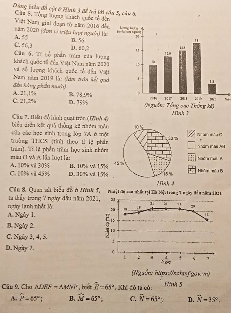 Dùng biểu đồ cột ở Hình 3 để trả lời câu 5, câu 6.
Câu 5. Tổng lượng khách quốc tế đến
Việt Nam giai đoạn từ năm 2016 đến
năm 2020 (đơn vị triệu lượt người) là:
A. 55 B. 56
C. 56,3 D. 60,2
Câu 6. Tỉ số phần trăm của lượng
khách quốc tế đến Việt Nam năm 2020
và số lượng khách quốc tổ đến Việt
Nam năm 2019 là: (làm tròn kết quả
đến hàng phần mười)
A. 21,1% B. 78,9%
C. 21,2% D. 79%Nă
Câu 7. Biểu đồ hình quạt tròn (Hình 4)
biểu diễn kết quả thống kê nhóm máu
của các học sinh trong lớp 7A ở mộtNhóm máu O
trường THCS (tính theo tỉ lệ phần
trăm). Tỉ lệ phần trăm học sinh nhóm
Nhóm máu AB
máu O và A lần lượt là:Nhóm máu A
A. 10% và 30% B. 10% và 15%
C. 10% và 45% D. 30% và 15% Nhóm máu B
Câu 8. Quan sát biểu đồ ở Hình 5, Nhiệt độ cao nhất tại Hà Nột trong 7 ngày đầu năm 2021
ta thấy trong 7 ngày đầu năm 2021, 25
21 21 21 20
ngày lạnh nhất là: 19
20 18
A. Ngày 1. 16
15
B. Ngày 2. 5 10
C. Ngày 3, 4, 5.
5
D. Ngày 7.
0
1 2 3 4 5 6 7
Ngày
Nguồn: https://nchmf.gov.vn)
Câu 9. Cho △ DEF=△ MNP , biết widehat E=65°. Khi đó ta có: Hình 5
A. widehat P=65°;. B. widehat M=65°; C. widehat N=65°; D. widehat N=35°.