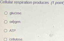 Cellular respiration produces (1 point
glucose.
oxygen.
ATP.
cellulose