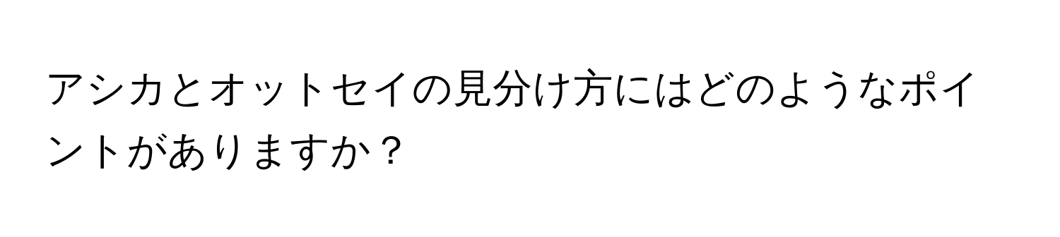 アシカとオットセイの見分け方にはどのようなポイントがありますか？