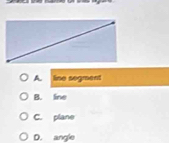 A line sogment
B. line
C. plane
D. angle