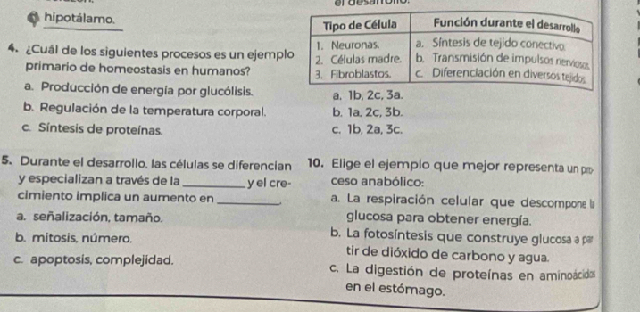 el desanor
hipotálamo.
4. ¿Cuál de los siguientes procesos es un ejemp
primario de homeostasis en humanos?
a. Producción de energía por glucólisis. a, 1b, 2c, 3a.
b. Regulación de la temperatura corporal. b. 1a. 2c, 3b.
c. Síntesis de proteínas. c. 1b, 2a, 3c.
5. Durante el desarrollo, las células se diferencian 10. Elige el ejemplo que mejor representa un pm-
y especializan a través de la _y el cre- ceso anabólico:
cimiento implica un aumento en_ a. La respiración celular que descompone la
a. señalización, tamaño.
glucosa para obtener energía.
b. mitosis, número.
b. La fotosíntesis que construye glucosa a par
tir de dióxido de carbono y agua.
c. apoptosis, complejidad. c. La digestión de proteínas en aminoácidos
en el estómago.