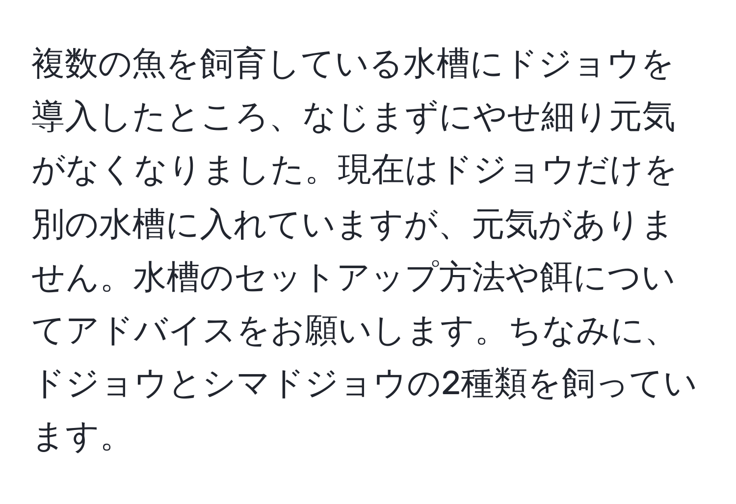 複数の魚を飼育している水槽にドジョウを導入したところ、なじまずにやせ細り元気がなくなりました。現在はドジョウだけを別の水槽に入れていますが、元気がありません。水槽のセットアップ方法や餌についてアドバイスをお願いします。ちなみに、ドジョウとシマドジョウの2種類を飼っています。