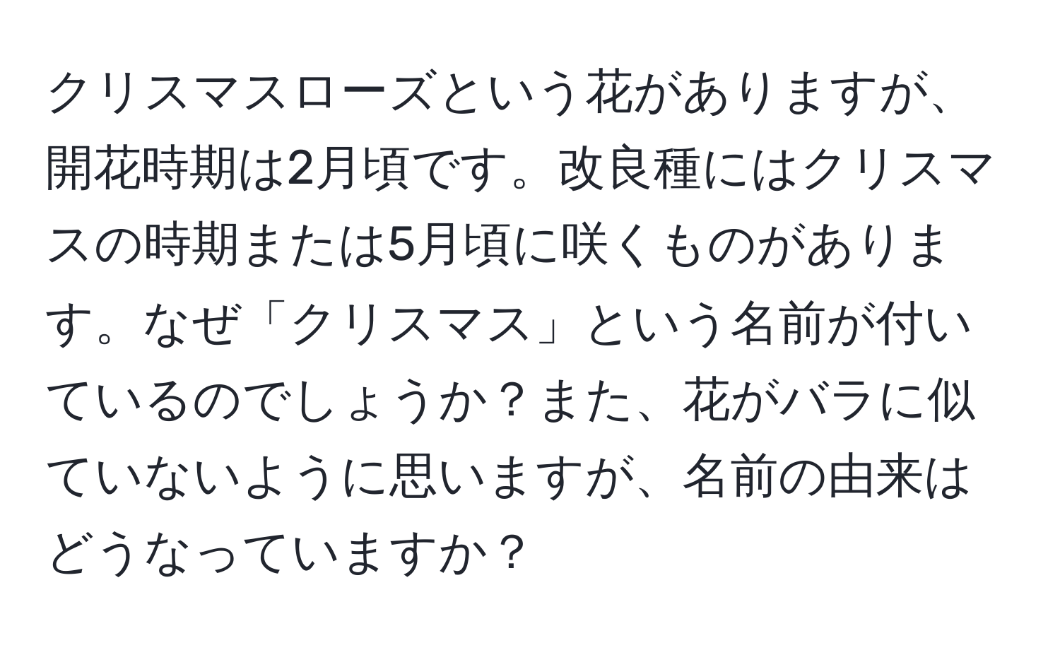 クリスマスローズという花がありますが、開花時期は2月頃です。改良種にはクリスマスの時期または5月頃に咲くものがあります。なぜ「クリスマス」という名前が付いているのでしょうか？また、花がバラに似ていないように思いますが、名前の由来はどうなっていますか？