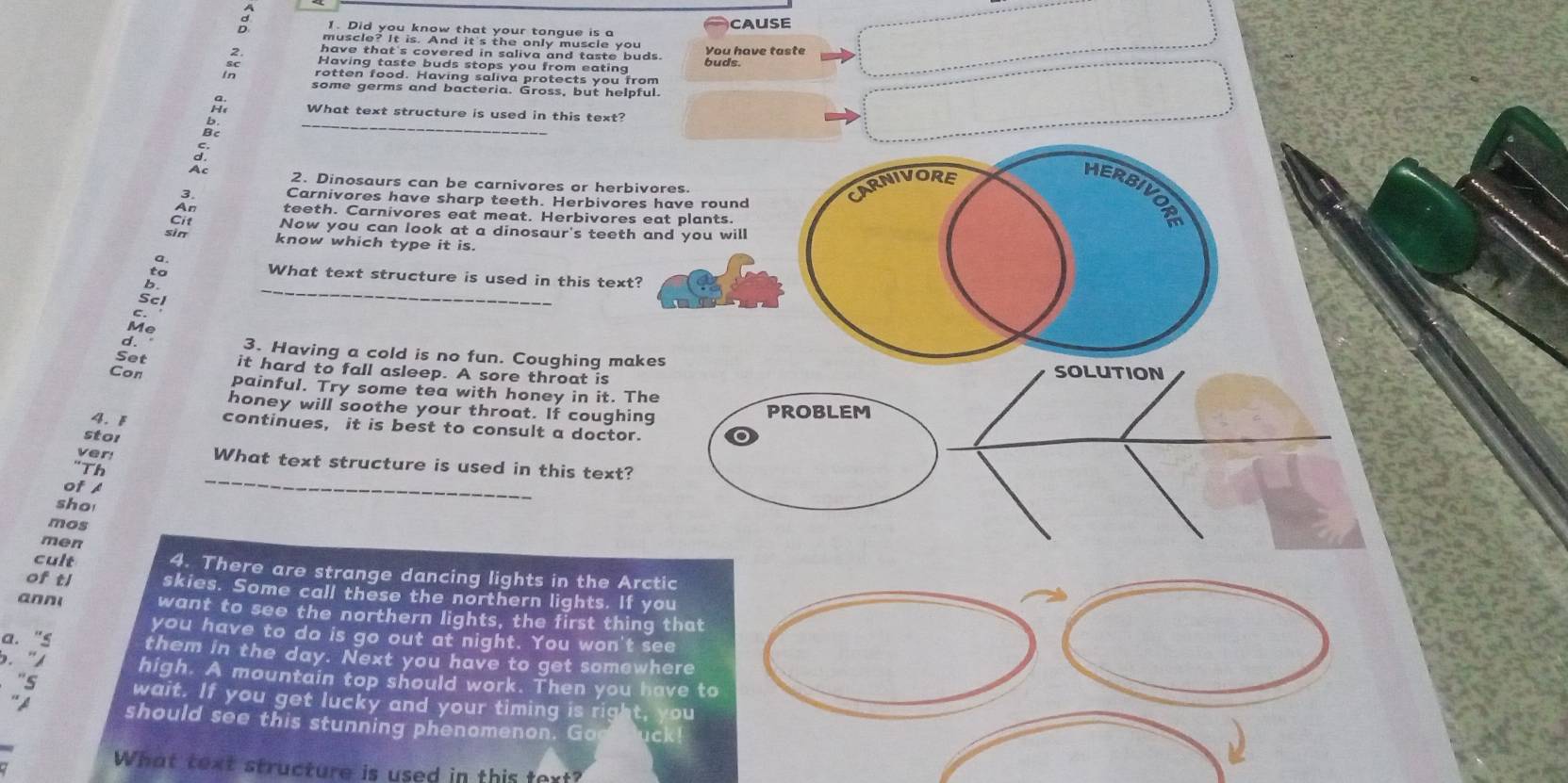CAUSE 
bud have taste 
sc rotten food. Having saliva protects you from 
some germs and bacteria. Gross, but helpful. 
_ 
What text structure is used in this text? 
Bc 
d 2. Dinosaurs can be carnivores or herbivores. 
CARNIVORE 
HERBIVOR 
Carnivores have sharp teeth. Herbivores have round 
teeth. Carnivores eat meat. Herbivores eat plants. 
Now you can look at a dinosaur's teeth and you will 
know which type it is. 
_ 
What text structure is used in this text? 
fe 
d. 3. Having a cold is no fun. Coughing makes 
Set it hard to fall asleep. A sore throat is SOLUTION 
Con painful. Try some tea with honey in it. The 
honey will soothe your throat. If coughing PROBLEM 
4. F continues, it is best to consult a doctor. 
stor 
ver! 
_ 
What text structure is used in this text? 
"Th 
of / 
sho 
mos 
men 
cult 4. There are strange dancing lights in the Arctic 
of tl skies. Some call these the northern lights. If you 
anni want to see the northern lights, the first thing that 
you have to do is go out at night. You won't see 
a. "s them in the day. Next you have to get somewhere 
.'/ high. A mountain top should work. Then you have to 
"S wait. If you get lucky and your timing is 10 ht, you 
"A should see this stunning phenomenon. Goo duck! 
What text structure is used in this text?