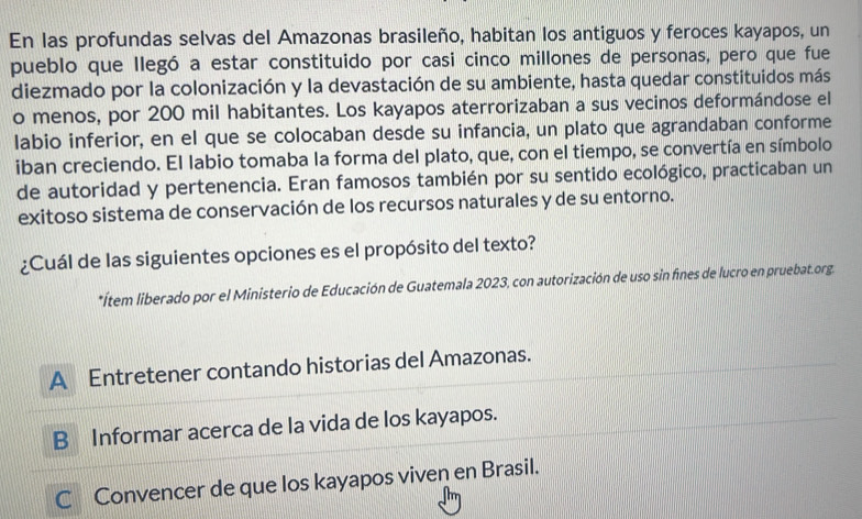 En las profundas selvas del Amazonas brasileño, habitan los antiguos y feroces kayapos, un
pueblo que llegó a estar constituido por casi cinco millones de personas, pero que fue
diezmado por la colonización y la devastación de su ambiente, hasta quedar constituidos más
o menos, por 200 mil habitantes. Los kayapos aterrorizaban a sus vecinos deformándose el
labio inferior, en el que se colocaban desde su infancia, un plato que agrandaban conforme
iban creciendo. El labio tomaba la forma del plato, que, con el tiempo, se convertía en símbolo
de autoridad y pertenencia. Eran famosos también por su sentido ecológico, practicaban un
exitoso sistema de conservación de los recursos naturales y de su entorno.
¿Cuál de las siguientes opciones es el propósito del texto?
*Ítem liberado por el Ministerio de Educación de Guatemala 2023, con autorización de uso sin fíines de lucro en pruebat.org.
A Entretener contando historias del Amazonas.
B Informar acerca de la vida de los kayapos.
C Convencer de que los kayapos viven en Brasil.