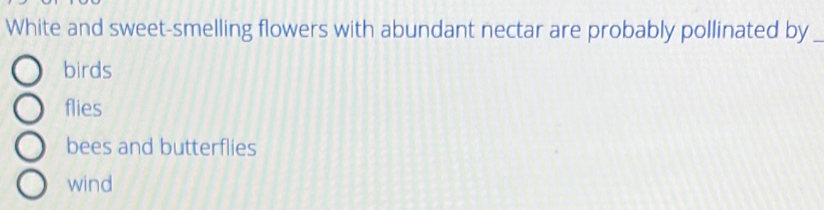 White and sweet-smelling flowers with abundant nectar are probably pollinated by_
birds
flies
bees and butterflies
wind