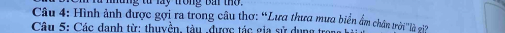 mung từ lay trong bai tho. 
Câu 4: Hình ảnh được gợi ra trong câu thơ: “Lưa thưa mưa biển ẩm chân trời''là vi 
Câu 5: Các danh từ: thuyền, tàu .được tác gỉa sử dụng tron