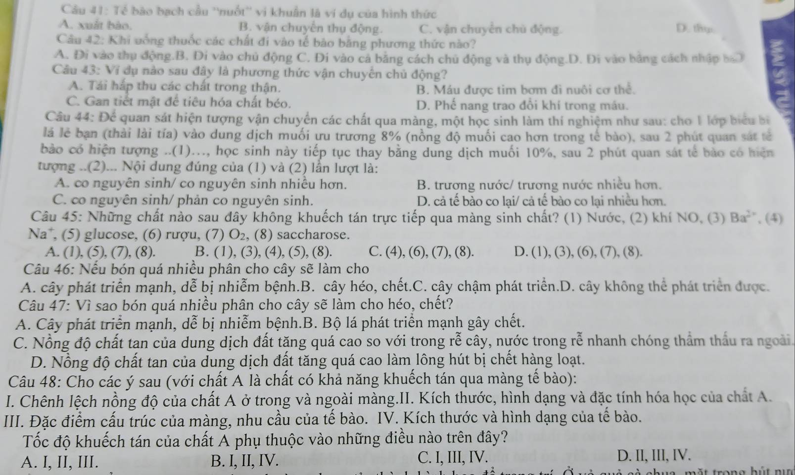 Tế bão bạch cầu ''nuốt'' vi khuẩn là ví dụ của hình thức
A. xuất bào. B. vận chuyển thụ động. C. vận chuyên chủ động. D. thụ
Câu 42: Khi uống thuốc các chất đi vào tế bào bằng phương thức nào?
A. Đi vào thụ động.B. Di vào chủ động C. Đi vào cá bằng cách chủ động và thụ động.D. Đi vào bằng cách nhập bao
Câu 43: Ví dụ nào sau đây là phương thức vận chuyến chủ động?
A. Tái hấp thu các chất trong thận. B. Máu được tim bơm đì nuôi cơ thể.
C. Gan tiết mật để tiêu hóa chất béo. D. Phế nang trao đổi khí trong máu.
Câu 44: Để quan sát hiện tượng vận chuyển các chất qua màng, một học sinh làm thí nghiệm như sau: cho 1 lớp biểu bị
lá lẻ bạn (thài lài tía) vào dung dịch muối ưu trương 8% (nồng độ muối cao hơn trong tế bào), sau 2 phút quan sát tế
bào có hiện tượng ..(1)..., học sinh này tiếp tục thay bằng dung dịch muối 10%, sau 2 phút quan sát tế bào có hiện
tượng ..(2)... Nội dung đúng của (1) và (2) lần lượt là:
A. co nguyên sinh/ co nguyên sinh nhiều hơn. B. trương nước/ trương nước nhiều hơn.
C. co nguyên sinh/ phản co nguyên sinh. D. cả tế bào co lại/ cả tế bào co lại nhiều hơn.
Câu 45: Những chất nào sau đây không khuếch tán trực tiếp qua màng sinh chất? (1) Nước, (2) khí NO, (3) Ba^(2+) , (4)
Na*, (5) glucose, (6) rượu, (7) O_2 , (8) saccharose.
A. (1), (5), (7), (8). B. (1), (3), (4), (5), (8). C. (4), (6), (7), (8). D. (1), (3), (6), (7), (8).
Câu 46: Nếu bón quá nhiều phân cho cây sẽ làm cho
A. cây phát triển mạnh, dễ bị nhiễm bệnh.B. cây héo, chết.C. cây chậm phát triển.D. cây không thể phát triển được.
Câu 47: Vì sao bón quá nhiều phân cho cây sẽ làm cho héo, chết?
A. Cây phát triển mạnh, dễ bị nhiễm bệnh.B. Bộ lá phát triển mạnh gây chết.
C. Nồng độ chất tan của dung dịch đất tăng quá cao so với trong rễ cây, nước trong rễ nhanh chóng thầm thấu ra ngoài
D. Nồng độ chất tan của dung dịch đất tăng quá cao làm lông hút bị chết hàng loạt.
Câu 48: Cho các ý sau (với chất A là chất có khả năng khuếch tán qua màng tế bào):
I. Chênh lệch nồng độ của chất A ở trong và ngoài màng.II. Kích thước, hình dạng và đặc tính hóa học của chất A.
III. Đặc điểm cấu trúc của màng, nhu cầu của tế bào. IV. Kích thước và hình dạng của tế bào.
Tốc độ khuếch tán của chất A phụ thuộc vào những điều nào trên đây?
A. I, II, III. B. I, II, IV. C. I, III, IV. D. II, III, IV.
mặt trong hút ni