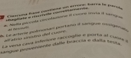 Ciascuna frase contiène un errore: barra le parole 
sbagliate e riscrívile correttamente. 
a. Nella píccola circolazione il cuore invía il sangue 
b. Le arterie polmonarí portano il sangue ossigenata al tessuti. 
all'atrio sinistro del cuore. 
La vena cava inferiore raccoglie e porta al cuore 
sangue proveniente dalle braccia e dalla testa.