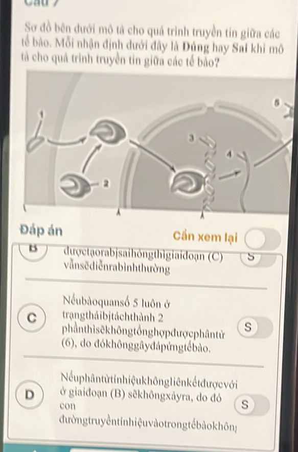 Sơ đồ bên dưới mô tá cho quả trình truyền tin giữa các
tể bào. Mỗi nhận định dưới đây là Đủng hay Sai khi mô
tà cho quả trình truyền tin giữa các tế bảo?
Đáp án Cần xem lại
B đượctạorabjsaihỏngthìgiaidoạn (C) 5
vẫnsẽdiễnrabìnhthường
Nểubàoquansố 5 luôn ở
C trạngtháibjtáchthành 2
phầnthìsẽkhông tổnghợp đượ c phântử s
(6), do đókhônggâyđápứngtếbào.
Nểu phân từ tinhiệu không liên kế tđược với
D ở giaiđoạn (B) sẽkhôngxảyra, do đó s
con
đường truy ềntinhiệu vàotrong tếbảo khônị