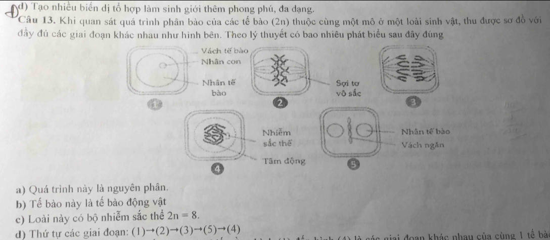 d) Tạo nhiều biển dị tổ hợp làm sinh giới thêm phong phú, đa dạng.
Câu 13. Khi quan sát quá trình phân bào của các tế bào (2n) thuộc cùng một mô ở một loài sinh vật, thu được sơ đồ với
đầy đủ các giai đoạn khác nhau như hình bên. Theo lý thuyết có bao nhiêu phát biểu sau đây đúng
a) Quá trình này là nguyên phân.
b) Tế bào này là tế bào động vật
c) Loài này có bộ nhiễm sắc thể 2n=8.
d) Thứ tự các giai đoạn: (1)to (2)to (3)to (5)to (4)
là sác giai đoạn khác nhau của cùng 1 tế bà