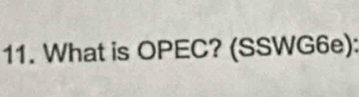 What is OPEC? (SSWG6e):