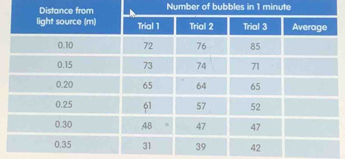 Number of bubbles in 1 minute