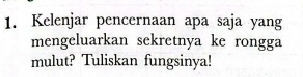 Kelenjar pencernaan apa saja yang 
mengeluarkan sekretnya ke rongga 
mulut? Tuliskan fungsinya!