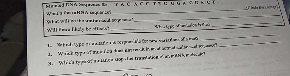 Mutated DNA Sequence #5 T A C A C C T T G G G A C G A C T ... 
What’s the mRNA sequence?_ (Circle the change) 
_ 
_ 
What will be the amino acid sequence? 
Will there likely be effects? _What type of mutation is this? 
1. Which type of mutation is responsible for new variations of a trait?_ 
_ 
2. Which type of mutation does not result in an abnormal amino acid sequence? 
_ 
3. Which type of mutation stops the translation of an mRNA molecule?