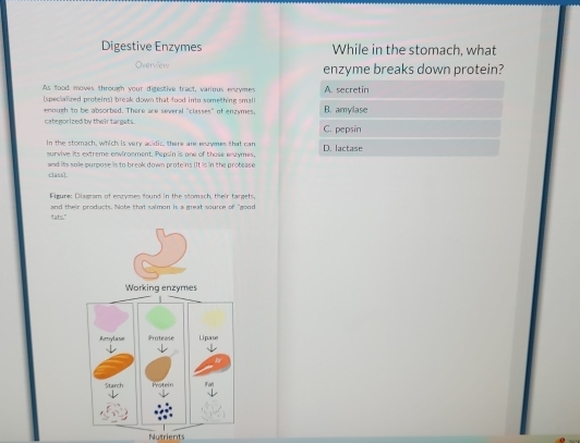 Digestive Enzymes While in the stomach, what
Overview enzyme breaks down protein?
As food moves through your digestive tract, various enrymes A. secretin
(specialzed proteins) break down that food into something small
enough to be absorbed. There are several "classes" of enzymes, B. amylase
categorized by their targats. C. pepsin
In the stomach, which is very acidic, there are envymes that can D. lactase
survive its extreme environment. Pepsin is one of thuse envymes
class). and its sole purpose is to break down proteins [It is in the protease
Figure: Diagram of enrymes found in the stomach, their targets,
and their products. Note that salmon is a great source of "good
fats."
Nutrients