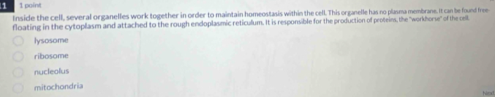 1 1 point
Inside the cell, several organelles work together in order to maintain homeostasis within the cell. This organelle has no plasma membrane. It can be found free-
floating in the cytoplasm and attached to the rough endoplasmic reticulum. It is responsible for the production of proteins, the "workhorse" of the cell.
lysosome
ribosome
nucleolus
mitochondria Next