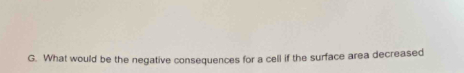 What would be the negative consequences for a cell if the surface area decreased