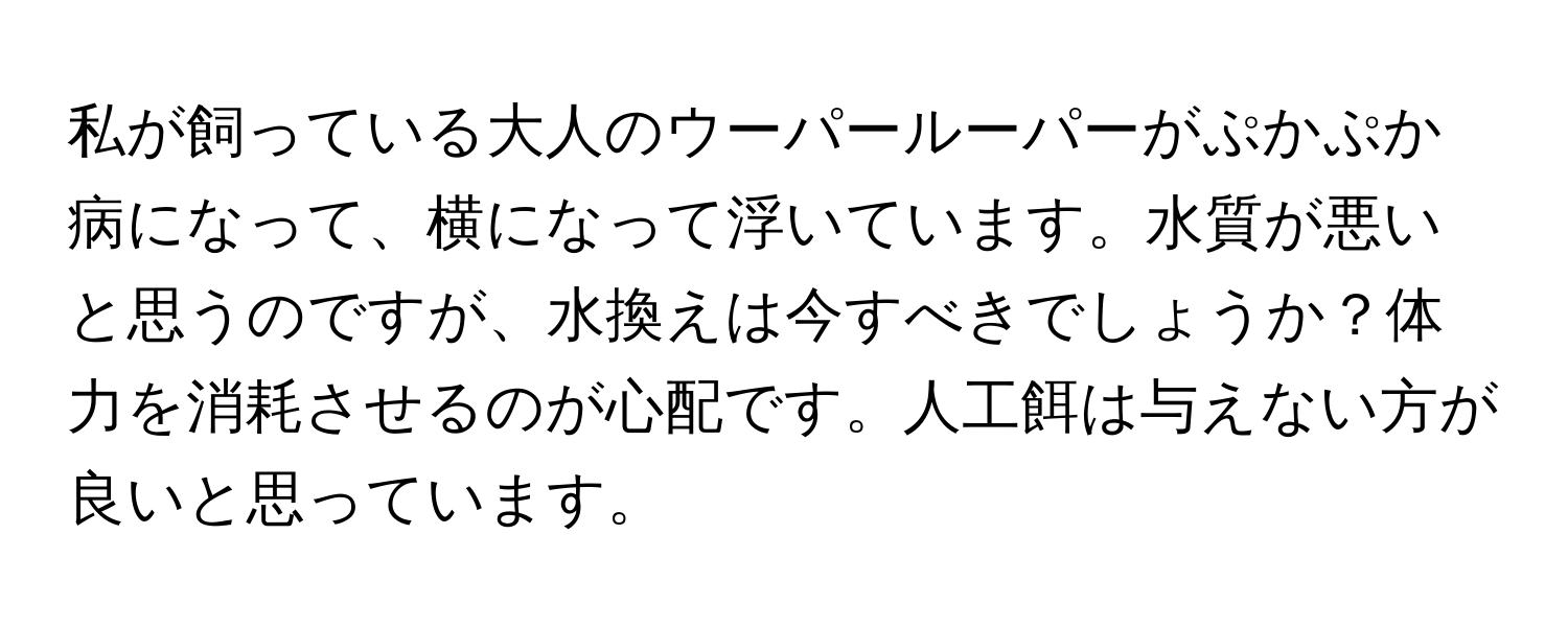 私が飼っている大人のウーパールーパーがぷかぷか病になって、横になって浮いています。水質が悪いと思うのですが、水換えは今すべきでしょうか？体力を消耗させるのが心配です。人工餌は与えない方が良いと思っています。