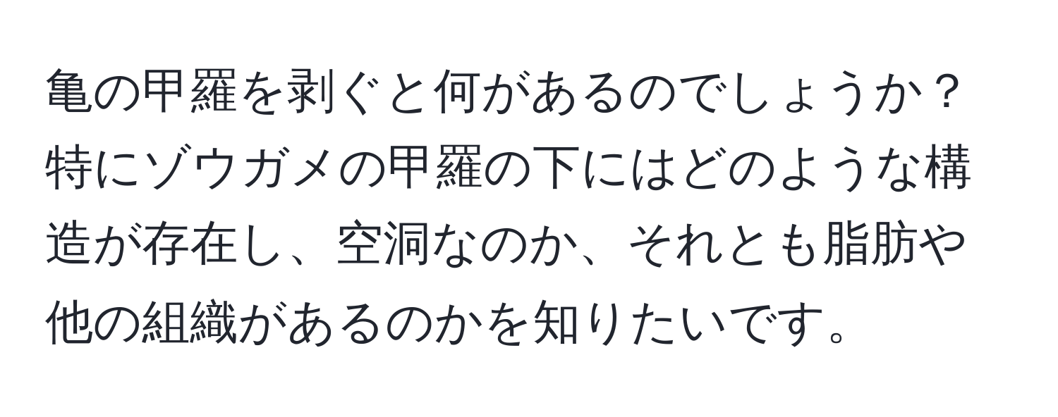 亀の甲羅を剥ぐと何があるのでしょうか？特にゾウガメの甲羅の下にはどのような構造が存在し、空洞なのか、それとも脂肪や他の組織があるのかを知りたいです。