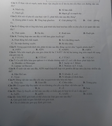 Ở thực vật có mạch, nước được vận chuyển từ n 2/C  lên là chủ yếu theo con đường nào sau
dây?
A. Mạch rây. B. Tế bảo chất.
C. Mạch gỗ. D. Mạch gỗ và mạch rây.
Câu 2: Khi nói về pha tối của thực vật C3, phát biểu nào sau đây đúng?
A. Quang phân li nước. B. Tổng hợp glucôzo. C. Giải phóng CO_2. D. Giải phóng
O_2
Câu 3: Ở động vật có ống tiêu hoá, quả trình tiêu hoá hoá học diễn ra chủ yểu ở cơ quan nào sau
đây?
A. Thực quân, B. Dạ dày. C. Ruột non. D. Ruột già.
Cu 4: Trường hợp nào sau đãy có thể làm giảm huyết áp?
A. Hoạt động thể chất mạnh, B. Xơ vữa động mạch.
C. Ăn mặn thường xuyên. D. Bị tiêu chảy.
Câu 5: Trong quá trình dịch mã, phân tử nào sau đây đồng vai trò như 'người phiên dịch''?
A. tARN. B. ADN. C. mA RN D. rARN.
Câu 6: Nếu trên mạch gốc của gen chứa bộ ba 3'AATS' thì bộ ba tương ứng trên mạch bố sung
của gen này là
A. 5^(·)UUA3^- B. 3°T TA5". C. 5^+TTA3^+ D. 3'UUAS'.
Câu 7: Cơ chể điều hòa qua opēron ở vi khuẩn đường ruột ( E. coli ) đã được phát hiện bởi
A. Menden và Moocgan B. F. Jacôp và J. Mônô,
C. Lamac và Đacuyn. D. J. Watson và F. Crick,
Cầu 8: Ở sinh vật nào sau đây, ADN mạch kép kết hợp với protêin đã tao nên cầu trúc nhiễm sắc
thể?
A. Đậu Hà Lan,  B. Vi khuẩn E.coli
C. Virut. D. Vi khuẩn cổ định đạm.
Cầu 9: Động vật nào sau đây chỉ xảy ra quá trình tiêu hóa nội bảo? D. Trùng giày.
A. Thủy tức. B. Giun đắt, C. Châu chẩu.
Câu 10: Cơ quan hấp thụ nước và ion khoáng chủ yểu của thực vật trên cạn là
A. thân. B. lá. C. roverline overline overline overline C. D. hoa.
Câu 11: Theo lý thuyết, cơ thể nào sau đây có kiểu gen dị hợp từ về cả 2 cập gen?
A. AaBb. B. aaBB. C. A BG D. AAbb.
Câu 12: Trên NST giới tính có thể chứa các loại gen nào sau đây?
A. Gen giới tính và gen liên kết với giới tính.
B. Chi có chứa các gen quy định giới tính,