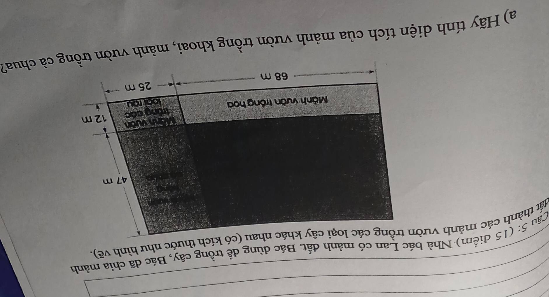 Nhà bác Lan có mảnh đất. Bác dùng để trồng cây, Bác đã chia mảnh 
a) Hãy tính diện tích của mảnh vườn trồng khoai, mảnh vườn trồng cả chua?