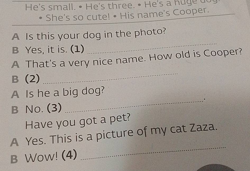 He's small. • He's three. • He's a huge doy. 
She's so cute! • His name's Cooper. 
_ 
_ 
A Is this your dog in the photo? 
B Yes, it is. (1) 
_ 
A That's a very nice name. How old is Cooper? 
B (2) 
_ 
A Is he a big dog? 
_. 
B No. (3) 
Have you got a pet? 
A Yes. This is a picture of my cat Zaza. 
B Wow! (4) 
_