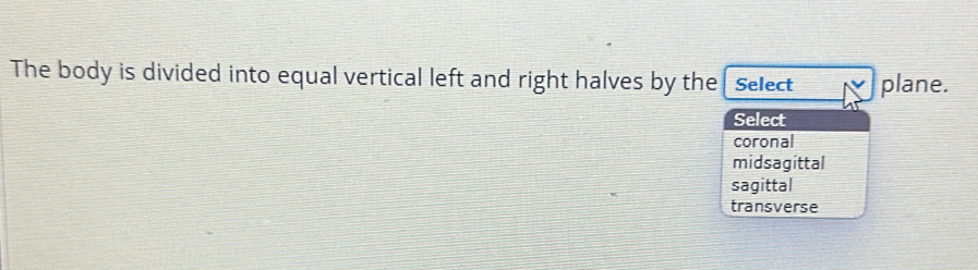 The body is divided into equal vertical left and right halves by the Select plane.
Select
coronal
midsagittal
sagittal
transverse