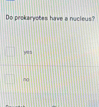 Do prokaryotes have a nucleus?
yes
no