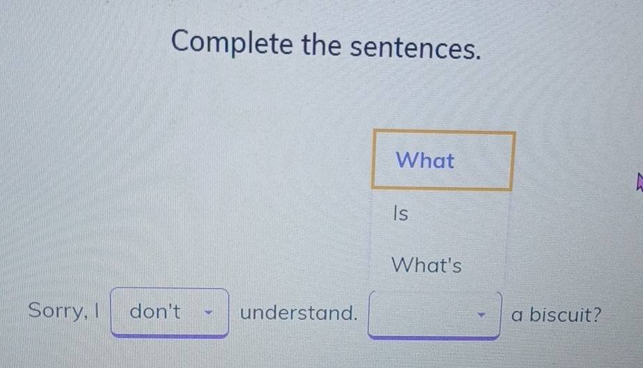 Complete the sentences. 
What 
Is 
What's 
Sorry, I don't understand. a biscuit?