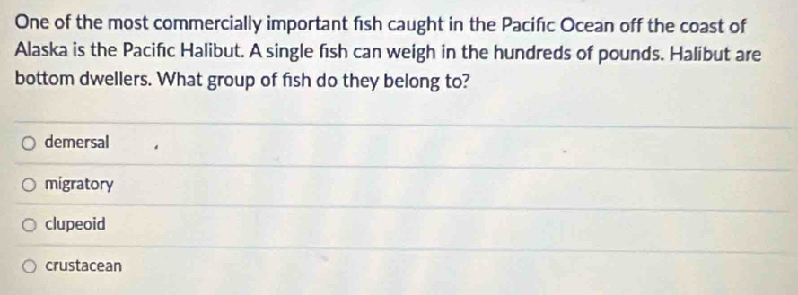 One of the most commercially important fish caught in the Pacifıc Ocean off the coast of
Alaska is the Pacifıc Halibut. A single fish can weigh in the hundreds of pounds. Halibut are
bottom dwellers. What group of fish do they belong to?
demersal
migratory
clupeoid
crustacean