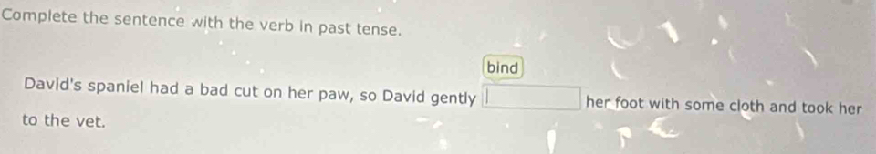 Complete the sentence with the verb in past tense. 
bind 
David's spaniel had a bad cut on her paw, so David gently her foot with some cloth and took her 
to the vet.