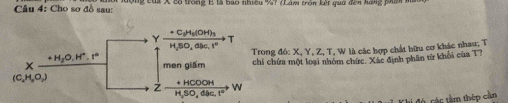 lộng của X cộ trong E là bao nhiều %? (Làm trôn kết qua đến hăng phân mà 
Câu 4: Cho sơ đồ sau: 
Y frac +C_3H_5(OH)_3H_2SO_4Cl_3c_11^0 T 
Trong đó: X, Y, Z, T, W là các hợp chất hữu cơ khác nhau; T
+H_2O, H°, t°
x men giấm chỉ chứa một loại nhóm chức. Xác định phân từ khối của T?
(C_4H_8O_2)
+ HCOOH W
H_2SO_4dac.t°
v đó các tâm thép cần