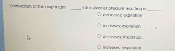 Contraction of the diaphragm _intra-alveolar pressure resulting in_
decreases; expiration
increases; expiration
decreases; inspiration
increases: inspiration