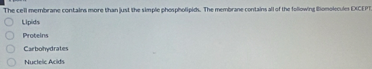 The cell membrane contains more than just the simple phospholipids. The membrane contains all of the following Biomolecules EXCEPT.
Lipids
Proteins
Carbohydrates
Nucleic Acids