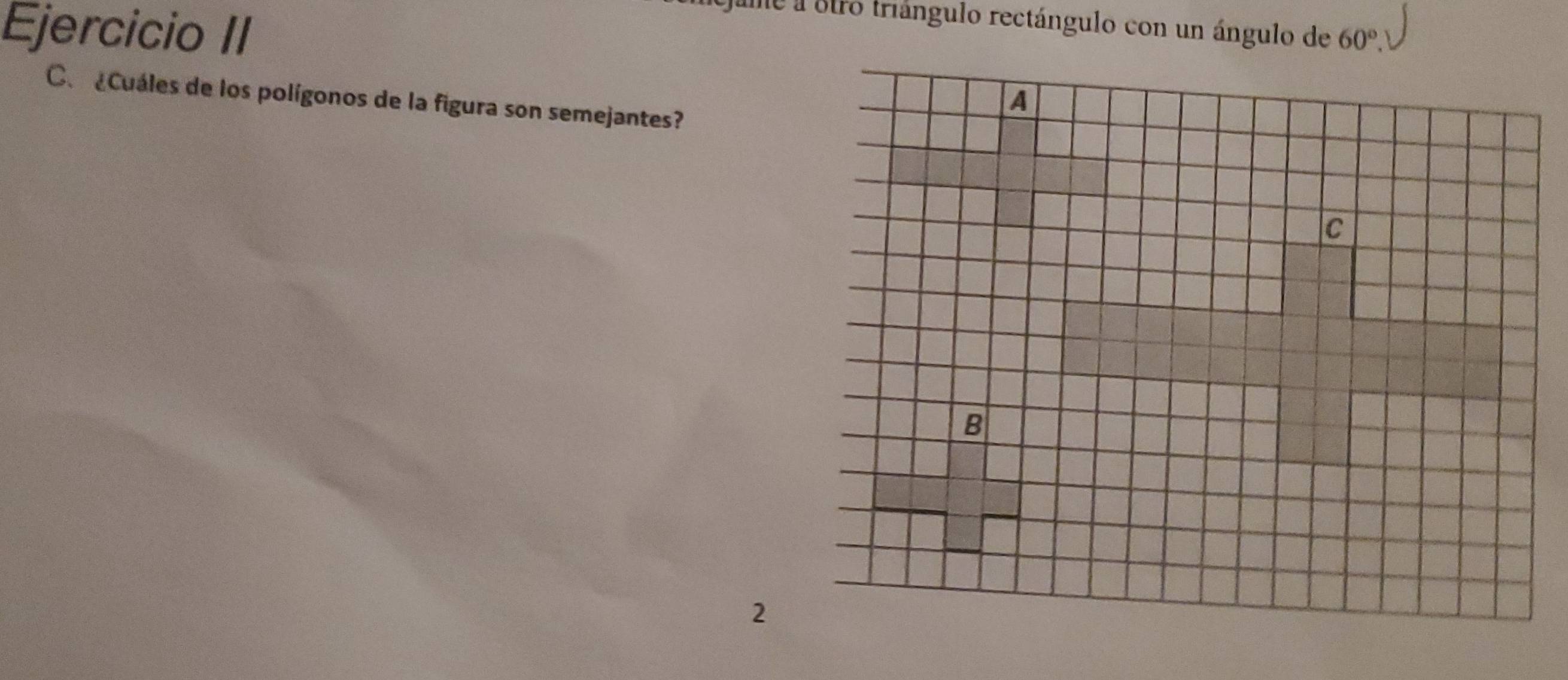 Ejercicio II 
ume a stro triángulo rectángulo con un ángulo de 60°. 
C. ¿Cuáles de los polígonos de la figura son semejantes? 
2