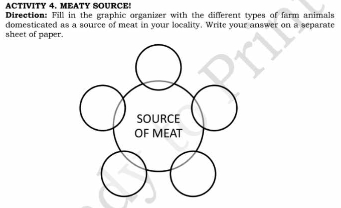 ACTIVITY 4. MEATY SOURCE! 
Direction: Fill in the graphic organizer with the different types of farm animals 
domesticated as a source of meat in your locality. Write your answer on a separate 
sheet of paper. 
SOURCE 
OF MEAT