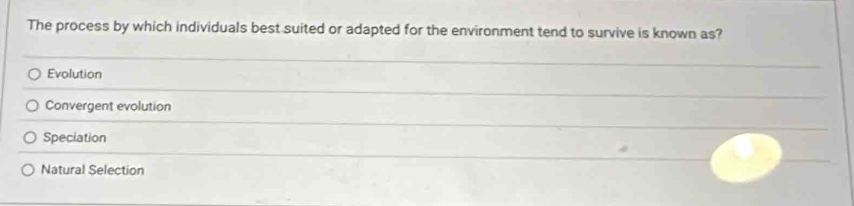 The process by which individuals best suited or adapted for the environment tend to survive is known as?
Evolution
Convergent evolution
Speciation
Natural Selection