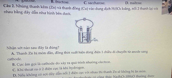 A. glucose. B. fructose. C. saccharose. D. maltose.
Câu 2. Nhúng thanh kẽm (Zn) và thanh đồng (Cu) vào dung dịch H_2SO_4 loãng, nối 2 thanh lại với
nhau bằng dây dẫn như hình bên dưới.
Nhận xét nào sau đây là đúng?
A. Thanh Zn bị mòn dần, đồng thời xuất hiện dòng điện 1 chiều di chuyến từ anode sang
cathode.
B. Cực âm gọi là cathode do xảy ra quá trình nhường electron.
C. Khí thoát ra ở 2 điện cực là khí hydrogen.
D. Nếu không có sợi dây dẫn nổi 2 điện cực với nhau thì thanh Zn sẽ không bị ăn mòn.
abydrate có cộng thức Na₂B₄O₇.10H:O thường được