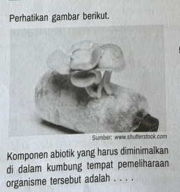 Perhatikan gambar berikut. 
Komponen abiotik yang harus diminimalkan 
di dalam kumbung tempat pemeliharaan 
organisme tersebut adalah . . . .