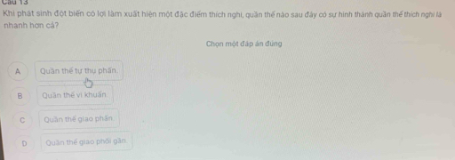 Khi phát sinh đột biến có lợi làm xuất hiện một đặc điểm thích nghi, quần thể nào sau đây có sự hình thành quần thể thích nghi là
nhanh hơn cả
Chọn một đáp án đúng
A Quần thế tự thụ phần.
B Quần thế vì khuẩn
C Quần thế giao phần
D Quân thế giao phối gần