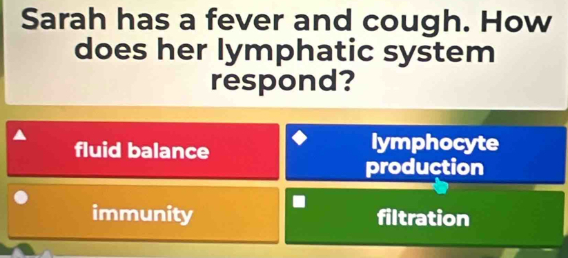 Sarah has a fever and cough. How
does her lymphatic system
respond?
fluid balance
lymphocyte
production
immunity filtration