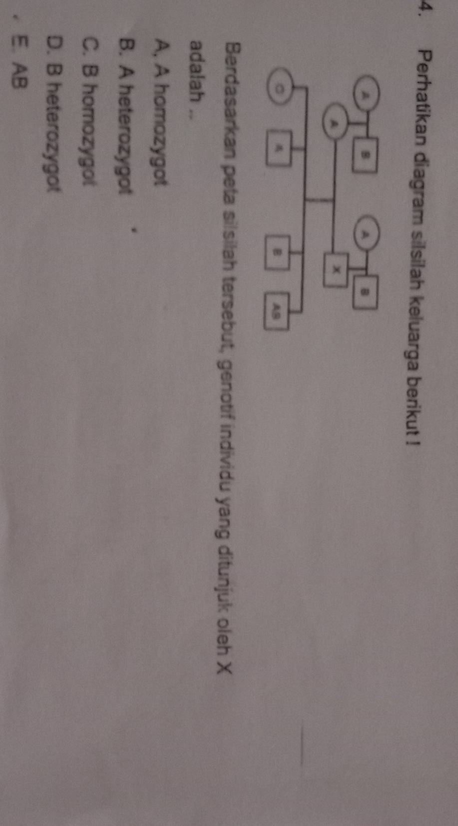 Perhatikan diagram silsilah keluarga berikut !
Berdasarkan peta silsilah tersebut, genotif individu yang ditunjuk oleh X
adalah ..
A, A homozygot
B. A heterozygot
C. B homozygot
D. B heterozygot
E. AB