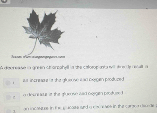 Source: www.lakegeorgeguide.com
A decrease in green chlorophyll in the chloroplasts will directly result in
1. an increase in the glucose and oxygen produced
2. a decrease in the glucose and oxygen produced .
3. an increase in the glucose and a decrease in the carbon dioxide p