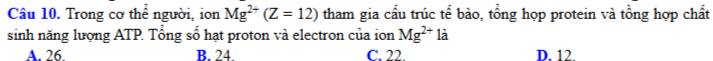 Trong cơ thể người, ion Mg^(2+)(Z=12) tham gia cầu trúc tể bào, tổng họp protein và tồng hợp chất
sinh năng lượng ATP. Tổng số hạt proton và electron của ion Mg^(2+)la
A. 26. B. 24. C. 22. D. 12