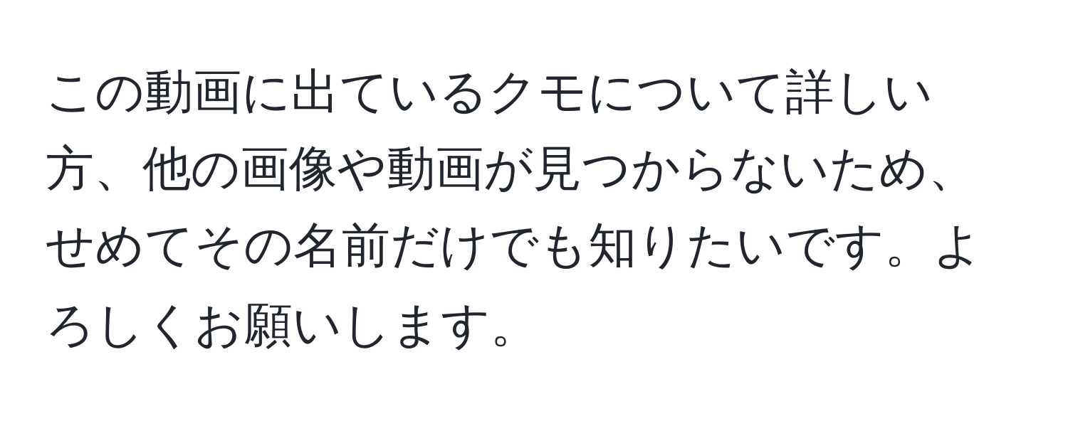 この動画に出ているクモについて詳しい方、他の画像や動画が見つからないため、せめてその名前だけでも知りたいです。よろしくお願いします。