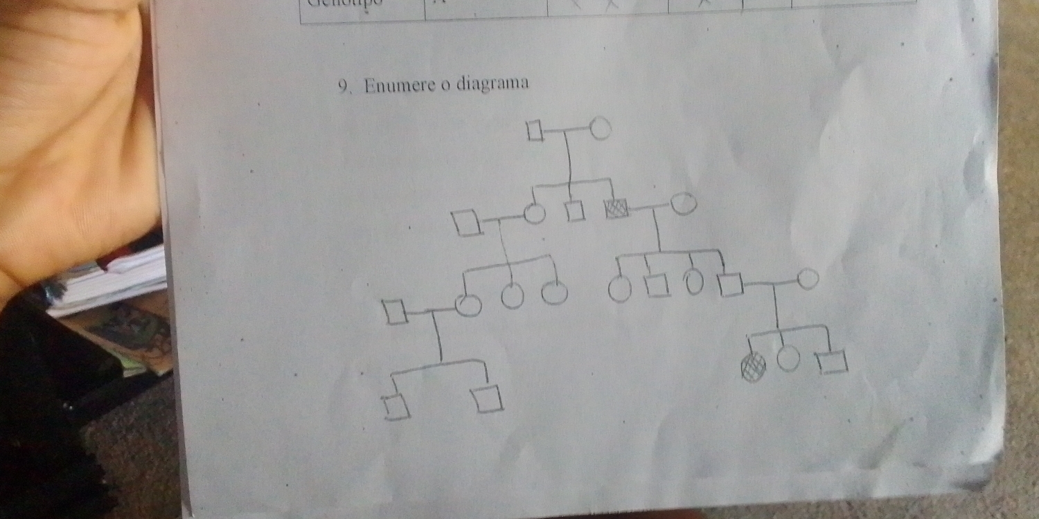 Enumere o diagrama