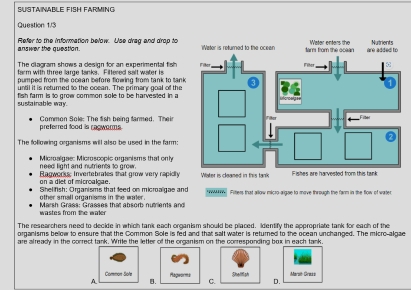 SUSTAINABLE FISH FARMING
Question 1/3
answer the question. Refer to the information below. Use dreg end drop to 
The diagram shows a design for an experimental fish 
farm with three large tanks. Fittered salt water is
pumped from the ocean before flowing from tank to tank
until it is retumed to the ccean. The primary goal of the
sustainable way fish farm is to grow common sole to be harvested in a
preferred food is raoworms Common Sole: The tish being farmed. Thei
The following organisms will also be used in the farm:
need light and nutrients to grow. Microalgae: Microscopic organisms that only
on a diet of microalgae Elagweru: Invertebrates that grow very rapidly Water is cleaned in this tank Fishes are harvested from this tank
other small organisms in the water. Shelifish: Organisms that feed on microaligae and ,,, Fittes that allow micro-algae to move through the farm in the flow of water
wastes from the water Marsh Grass: Grasses that absorb nutrients and
The researchers need to decide in which tank each organism should be placed. Identify the appropriate tank for each of the
organisms bellow to ensure that the Common Sole is fed and that salt water is returned to the ocean unchanged. The micro-algae
are already in the correct tank. Write the letter of the organism on the corresponding box in each tank.
Common Sole
A. B. Rageorma Sheltiph Marsit Grass
C. D.