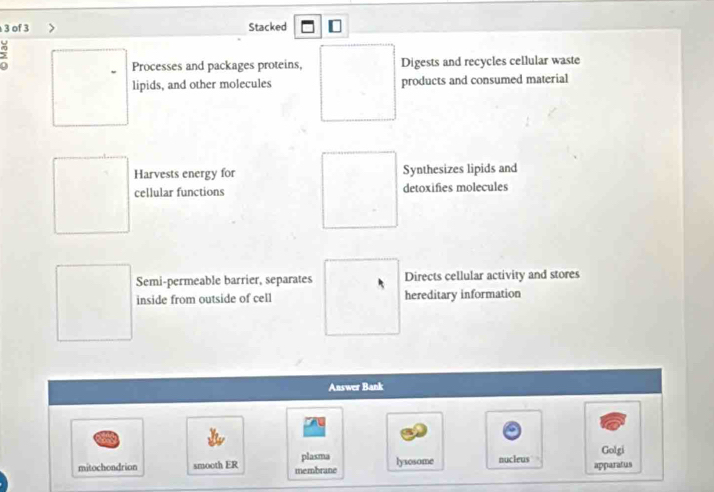 of 3 Stacked
>
Processes and packages proteins, Digests and recycles cellular waste
lipids, and other molecules products and consumed material
Harvests energy for Synthesizes lipids and
cellular functions detoxifies molecules
Semi-permeable barrier, separates Directs cellular activity and stores
inside from outside of cell hereditary information
Answer Bank
a
Golgi
mitochondrion smooth ER membrane plasma lysosome nucleus apparatus